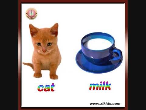 download lagu mp3 mp4 Food Named After Animals, download lagu Food Named After Animals gratis, unduh video klip Food Named After Animals