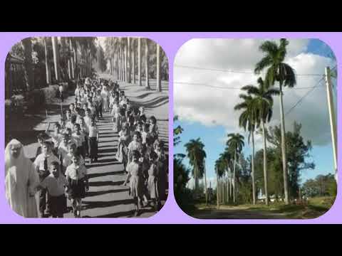 Vertientes Camagüey Cuba la calle de las palmas