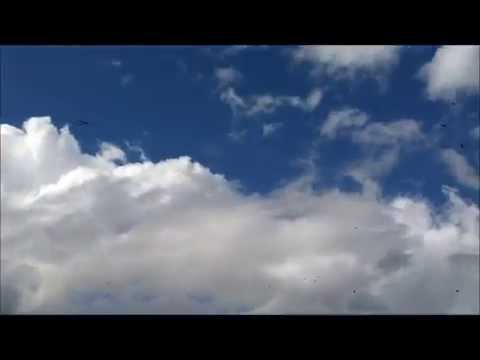 Visita do Gama aos amigos de OuroFino MG - 26/05/2012