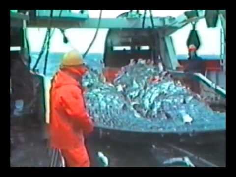 "Brennivínshippinn" Hljómsveitin Æfing.