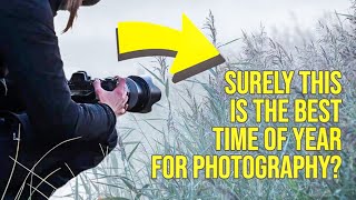 Every Landscape Photographer LOVES This Time of Year!