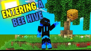 ✔️Entering a BEE hive in Minecraft PE[NO MODS OR ADDONS] ender pearl method