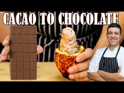 Making Chocolate from Fresh Cacao Pods | And This What Happened