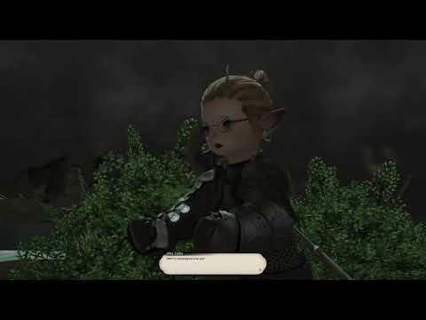 Final Fantasy XIV ( Scholar Level 80 Job Quest )