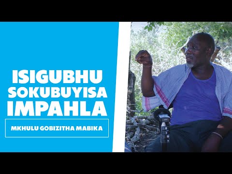 Isigubhu Sokubuyisa Impahla - Mkhulu Gobizitha Mabika