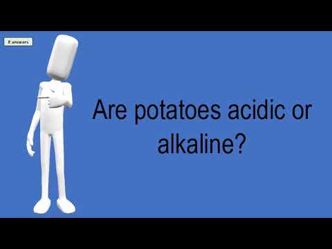 download lagu mp3 mp4 Are White Potatoes Alkaline, download lagu Are White Potatoes Alkaline gratis, unduh video klip Are White Potatoes Alkaline