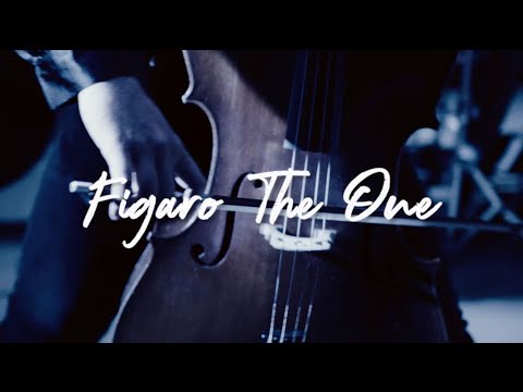 Figaro the One - DAGAMBA (Mozart/Metallica)