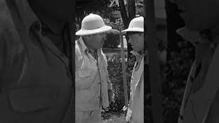 The THREE STOOGES clean comedy