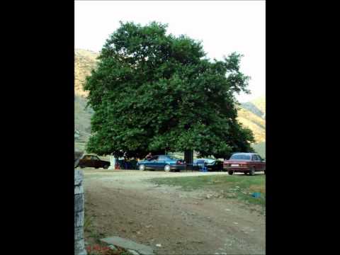 Golemi Ajka e Laberise-K.Skendaj