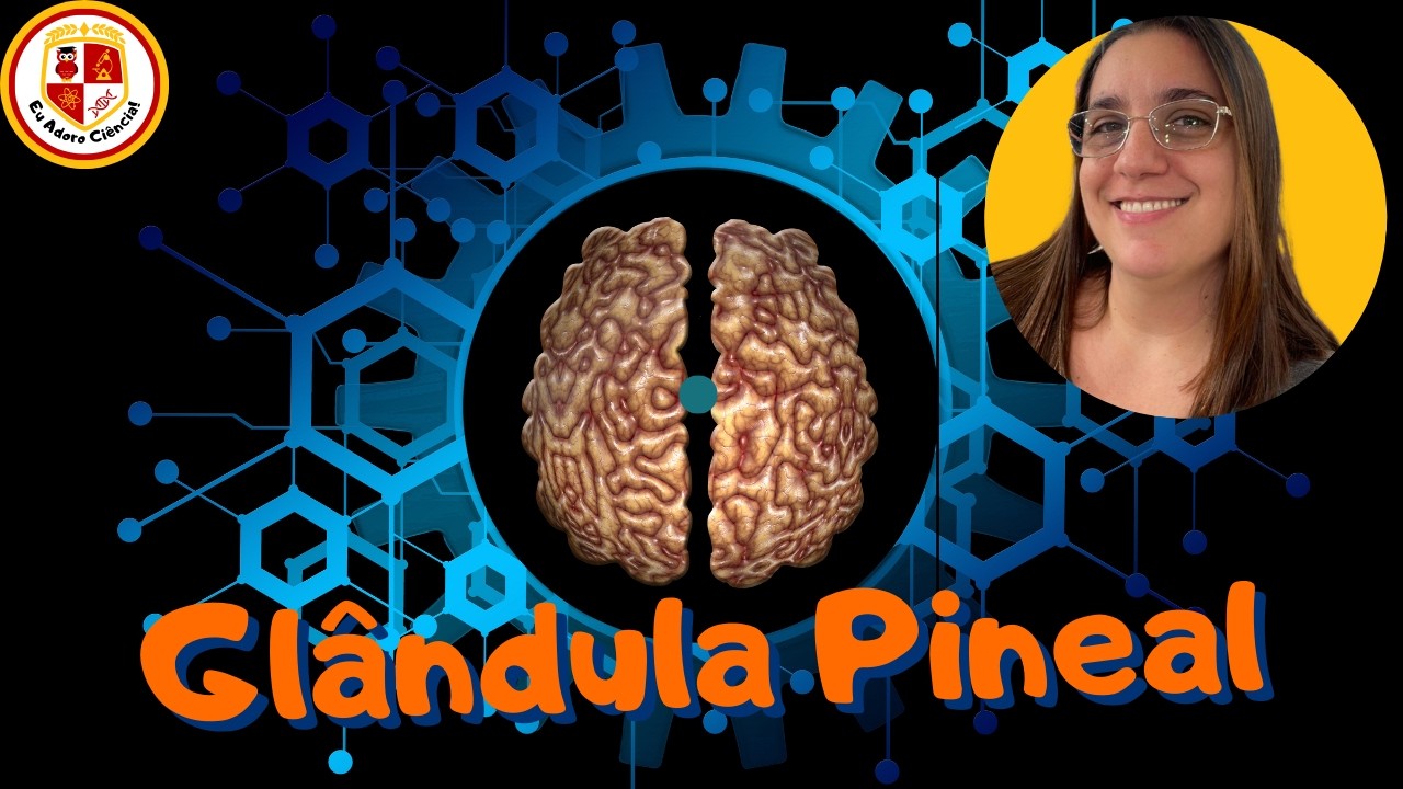 Glândula Pineal: Regulação de Sono e Vigília