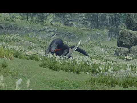 Nargacuga Ecology (Monster Hunter Rise Sunbreak)