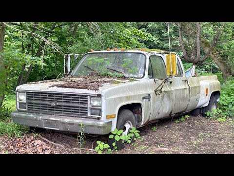 I bought a truck ABANDONED in the woods for over a DECADE - WILL IT RUN??