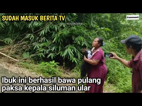 Viral Asli nyata ibuk 1 anak akhirnya nekat bawa pulang kepala siluman ular penghuni jurang