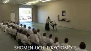 preview picture of video 'Castle Rock AIKIDO hosts Skip Chapman Sensei - Day One'