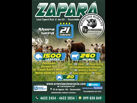 Remate Ernesto Esteves y Cia - Local Zapará Tacuarembó// 21 de Febrero 2024