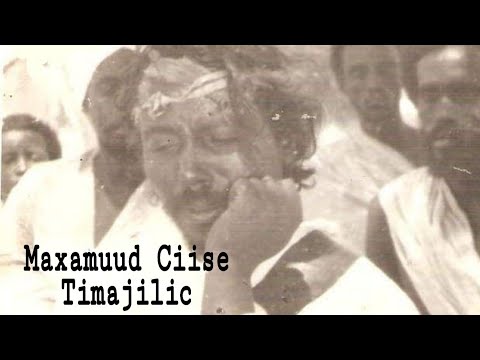 HEES | Muusanow | Maxamuud Ciise Timajilic | Original + lyrics