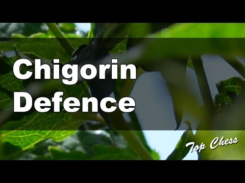 Chess Online - Harry Nelson Pillsbury vs Simon Winawer