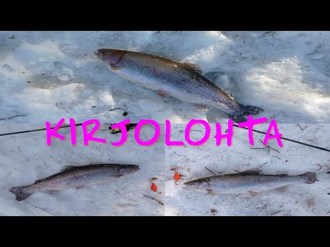 Merikarvianjoki 2022 | Kirjolohta | Jasu salama | kalastus 2022