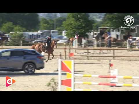 Cheval à vendre - Vends Jument par BALOUBET DU ROUET - equirodi.com