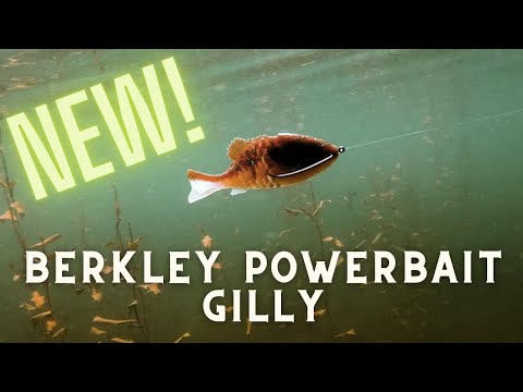 Check Out The ...