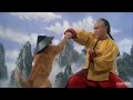 Kung Fu Cat
