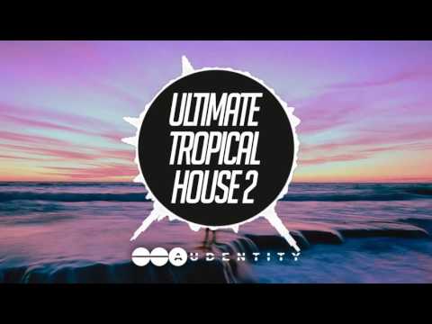 Ultimate Tropical House 2
