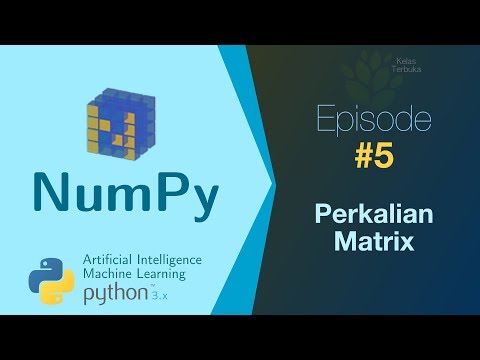 Belajar NumPy Python Data Analisis 05 Perkalian matrix
