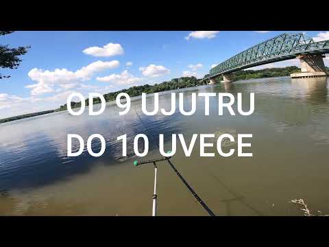 Feeder Sava - Plotica Mrena Skobalj 4K