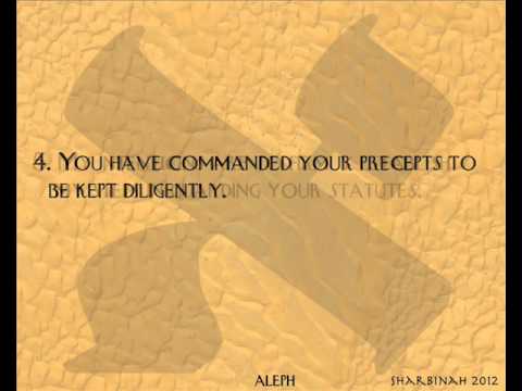 Psalm 119 ~ Aleph ~ 1-8