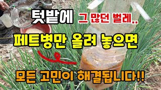 대파밭 텃밭에 많던 벌레가 싹 사라졌습니다 페트병만 올려 놓으면 모든 고민이 해결됩니다 막걸리트랩 친환경토양…