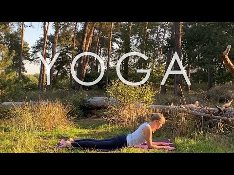 Yoga am Morgen | 20 Minuten Mobilisieren & achtsames Dehnen in alle Bewegungsrichtungen