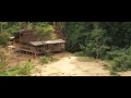 JUNGLE CHILD / THE FAYU TRIBE - YouTube