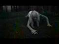 Pernille Vallentin - Follow 