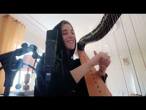 TAKE ON ME / A-HA / #acousticcover #harp #thevoicefrance