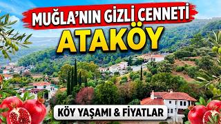 ŞEHİRDEN KAÇANLAR BU KÖYE AKIN EDİYOR! Ataköy’de Yaşam Nasıl? Kiralık-Satılık Ev