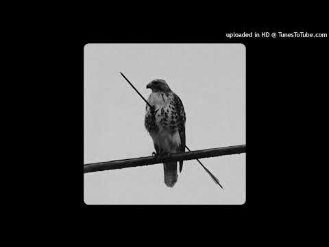 DWMT (Don't Waste My Time) ft Savy