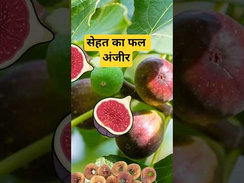 "हमारे पेड़, हमारी सेहत"(अंजीर)#👉 “Anjeer ke Fayde | Bacchon ke liye Healthy Fruit”