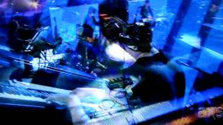 Matt White. Paradise