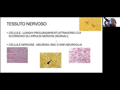 Video sintetico sulla lezione 1 di istologia