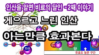 게으르고 느려터진 인산. 그 성질  아는만큼 효과본다. NPK 한 요소인 인산. 인산 역할, 인산 효과, 인…