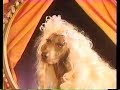 Dateline Disney Dog Photographer William Wegman 1993