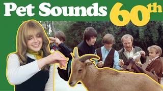 The Beach Boys - Pet Sounds, 60 Years Later