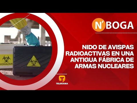 Nido de avispas radioactivas en una antigua fábrica de armas nucleares