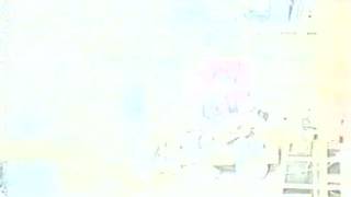 THE BOO RADLEYS - Everybird