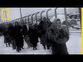 Auschwitz : le camp de l'horreur nazie