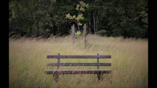 park bench (free lo-fi beat)