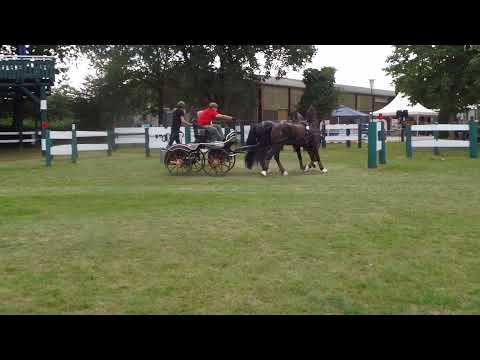 Fahrturnier Ostenfelde 15.8.2021