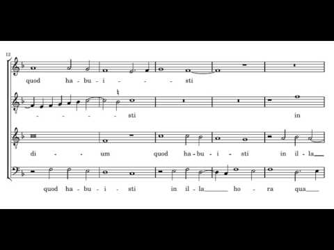 Willaert: Saluto te - Cappella Pratensis