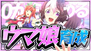 【ウマ娘】初心者でも強ウマ育成できるもん【初見さん歓迎】