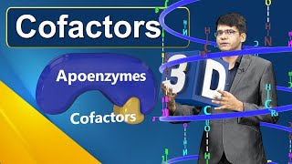 COFACTORS FOR ENZYMES || Class 11 Biology NCERT NEET - Learn in 3D